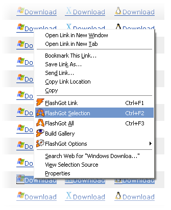 FlashGot menu items