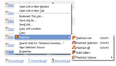 FlashGot Compact Context Menu